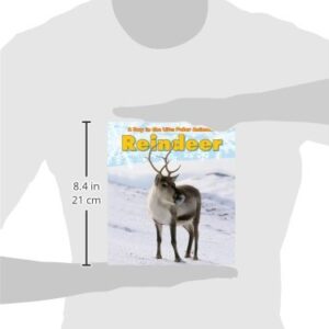 Reindeer (A Day in the Life: Polar Animals)