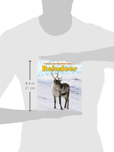 Reindeer (A Day in the Life: Polar Animals)