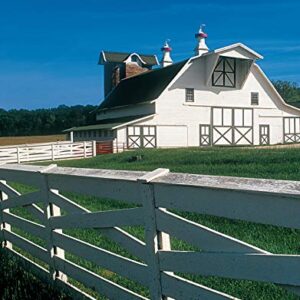 Ultimate Guide: Barns, Sheds & Outbuildings, Updated 4th Edition, Plan/Design/Build: Step-by-Step Building and Design Instructions (Creative Homeowner) Catalog of Plans for More Than 100 Outbuildings