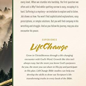 Job (LifeChange)