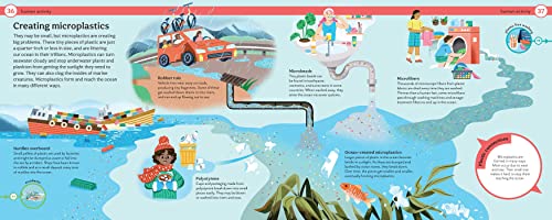 Why Does Plastic Hurt the Planet?: How our stuff is harming the Earth, and what you can do to reduce your use (Mind Mappers)