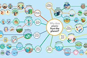 Why Does Plastic Hurt the Planet?: How our stuff is harming the Earth, and what you can do to reduce your use (Mind Mappers)