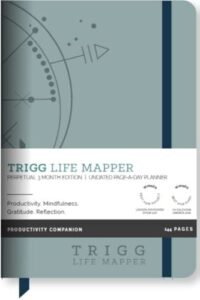 trigg life mapper perpetual 3 month edition