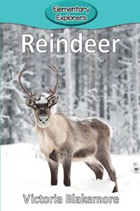 reindeer (32) (elementary explorers)