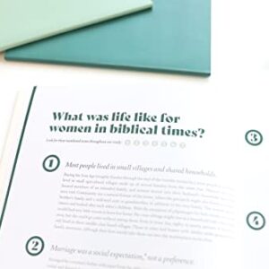 Brave and Beloved: A Bible Study for Women Exploring the Wisdom and Diversity of Women in the Bible