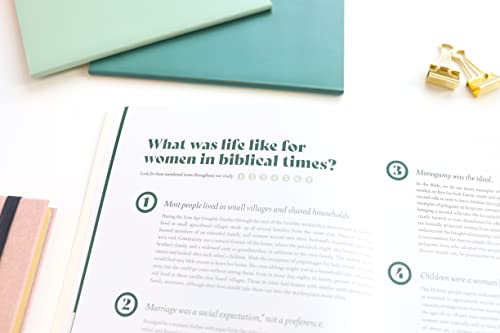 Brave and Beloved: A Bible Study for Women Exploring the Wisdom and Diversity of Women in the Bible