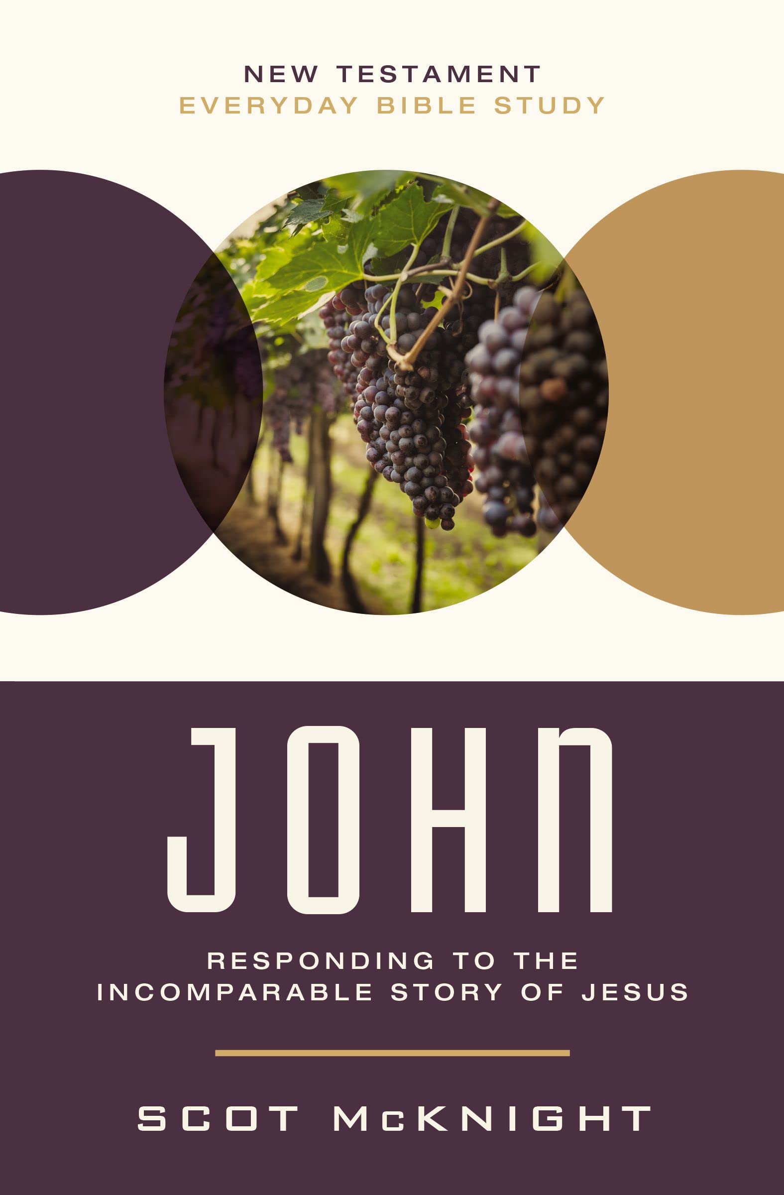 John: Responding to the Incomparable Story of Jesus (New Testament Everyday Bible Study Series)