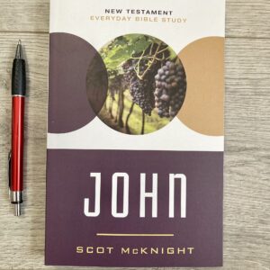 John: Responding to the Incomparable Story of Jesus (New Testament Everyday Bible Study Series)