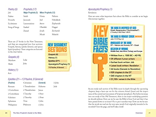 The Non-Prophet's Guide to the Bible: A Visual Journey Through God’s Story...and Where You Fit In