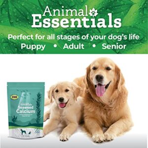 Animal Essentials Seaweed Calcium Supplement for Dogs & Cats, 12 oz, Iceland Seaweed Magnesium, Boron, Zinc