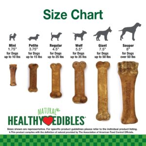 Nylabone Healthy Edibles All-Natural Long Lasting Bacon Flavor Chew Treats 1 count pack of 3 Bacon Small/Regular