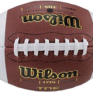 WILSON WTF1715 TDS Composite High School Game Ball Football