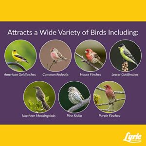 Lyric Finch - Small Songbird Wild Bird Seed - Attracts Goldfinches, House Finches, Purple Finches & More - 5 lb. Bag