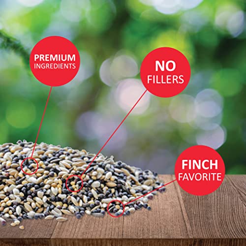 Lyric Finch - Small Songbird Wild Bird Seed - Attracts Goldfinches, House Finches, Purple Finches & More - 5 lb. Bag