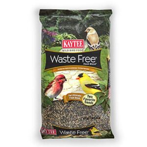 kaytee waste free finch blend 8 pounds