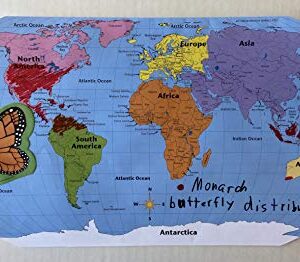 8” x 16” Labeled World Practice Maps, 30 Sheets in a Pack for Social Studies, Geography, Map Activities, Drill and Practice, Current Event Activities, Learning Games and More