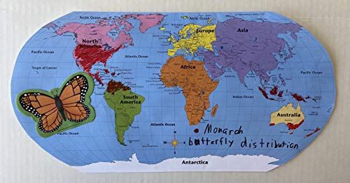 8” x 16” Labeled World Practice Maps, 30 Sheets in a Pack for Social Studies, Geography, Map Activities, Drill and Practice, Current Event Activities, Learning Games and More