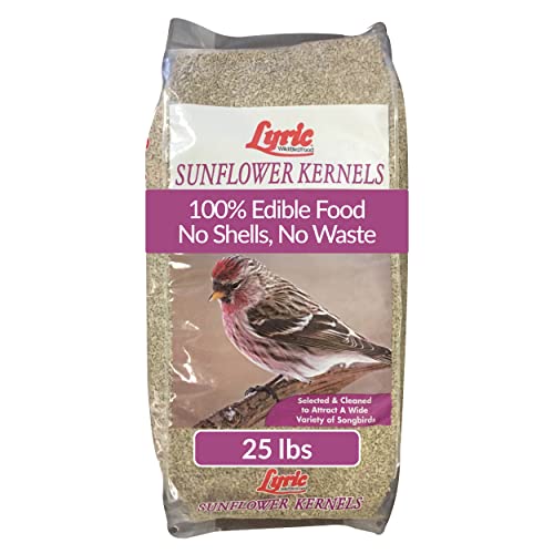 Lyric Sunflower Kernels Wild Bird Seed No Waste Bird Food Attracts Finches & More 25 lb. bag