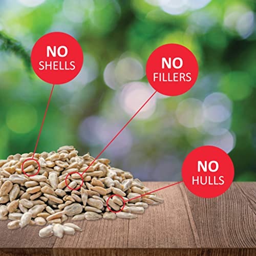 Lyric Sunflower Kernels Wild Bird Seed No Waste Bird Food Attracts Finches & More 25 lb. bag