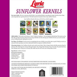 Lyric Sunflower Kernels Wild Bird Seed No Waste Bird Food Attracts Finches & More 25 lb. bag