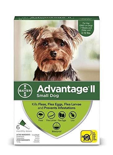 Advantage II Small Dog Vet-Recommended Flea Treatment & Prevention | Dogs 3-10 lbs. | 4-Month Supply