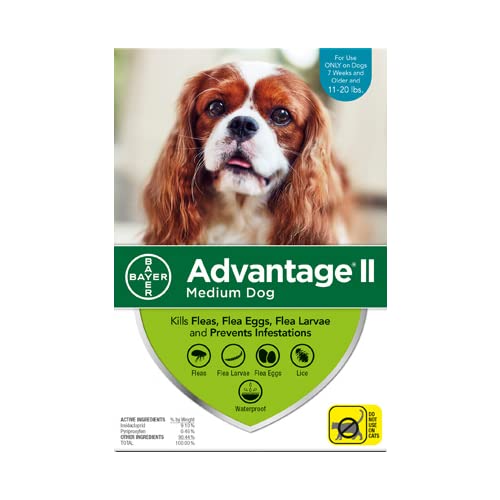 Advantage II For Medium Dogs 11-20 lbs, 12 Pack