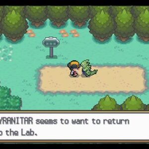 Pokemon SoulSilver Version