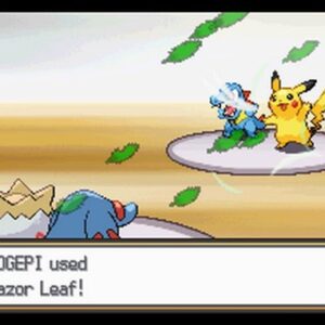 Pokemon SoulSilver Version