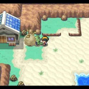 Pokemon SoulSilver Version