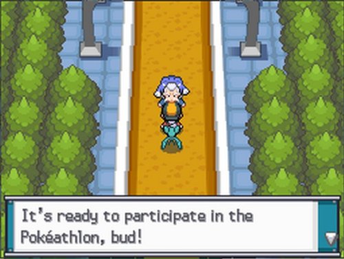 Pokemon SoulSilver Version