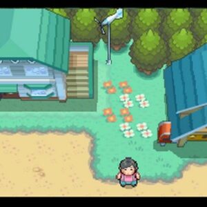 Pokemon SoulSilver Version