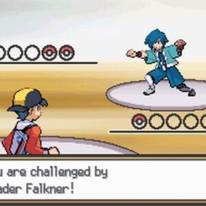 Pokemon SoulSilver Version