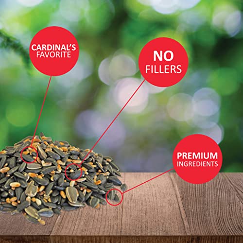 Lyric Cardinal Wild Bird Seed - Sunflower & Safflower Premium Bird Food Mix for Cardinals, Grosbeaks & Blue Jays - 3.75 lb bag