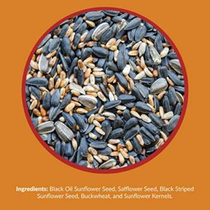 Lyric Cardinal Wild Bird Seed - Sunflower & Safflower Premium Bird Food Mix for Cardinals, Grosbeaks & Blue Jays - 3.75 lb bag