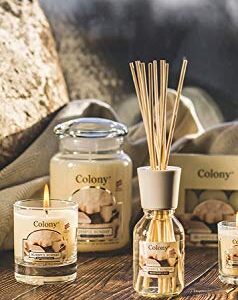 Wax Lyrical - Colony Collection - Vanilla Scented Classic Glass Jar Candles (Burns Up to 80 Hours) - Made in England