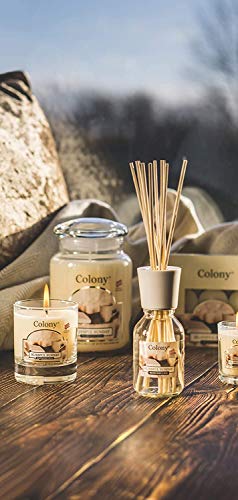 Wax Lyrical - Colony Collection - Vanilla Scented Classic Glass Jar Candles (Burns Up to 80 Hours) - Made in England