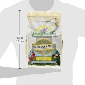 Wagner's 57075 Safflower Seed Wild Bird Food, 5-Pound Bag