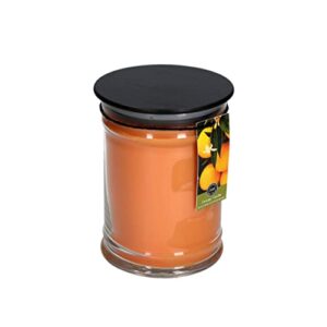 bridgewater candle 18oz large soy wax blend fragranced jar candle-orange vanilla