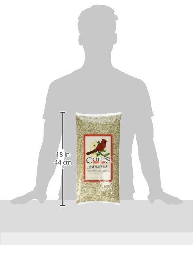 Cole's SA05 Safflower Bird Seed, 5-Pound