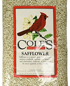 Cole's SA05 Safflower Bird Seed, 5-Pound