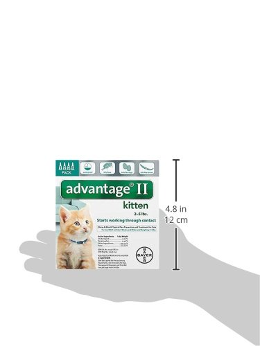 Bayer Advantage II Kitten Flea Treatment for Kittens, 2 - 5 lb, 4 doses