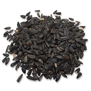 Audubon Park 12261 Black Oil Sunflower Seed Wild Bird Food, 10-Pounds