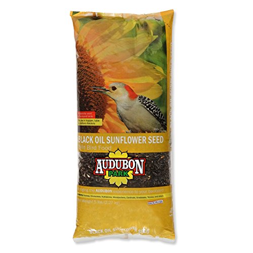 Audubon Park 12259 Black Oil Sunflower Seed Wild Bird Food, 5-Pounds