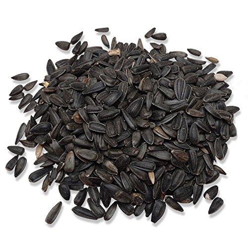 Audubon Park 12259 Black Oil Sunflower Seed Wild Bird Food, 5-Pounds