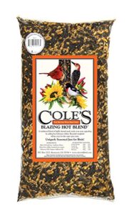 cole's bh05 blazing hot blend bird seed, 5-pound