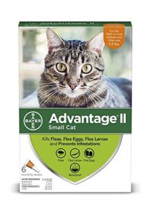 advantage ii 6pk cat orange 1-9 lbs