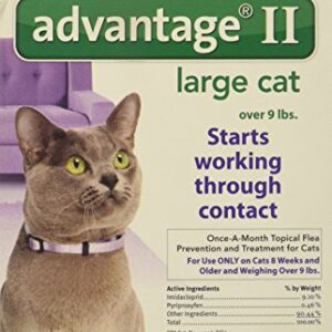 Bayer Advantage II, Cat, Over 9 lbs, 6pk