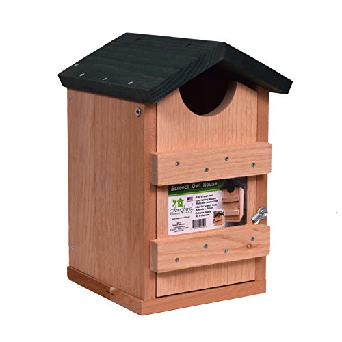 Songbird Essentials SE519 Screech Owl House (Set of 1)