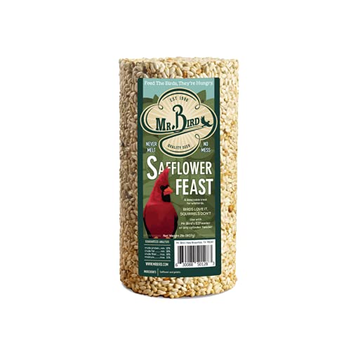 Mr. Bird Safflower Feast Small Wild Bird Seed Cylinder 28 oz.