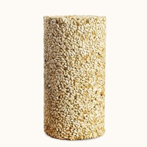 Mr. Bird Safflower Feast Small Wild Bird Seed Cylinder 28 oz.